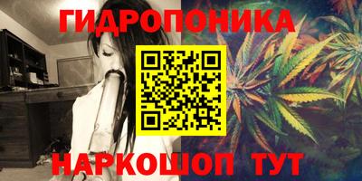 spice Белореченск