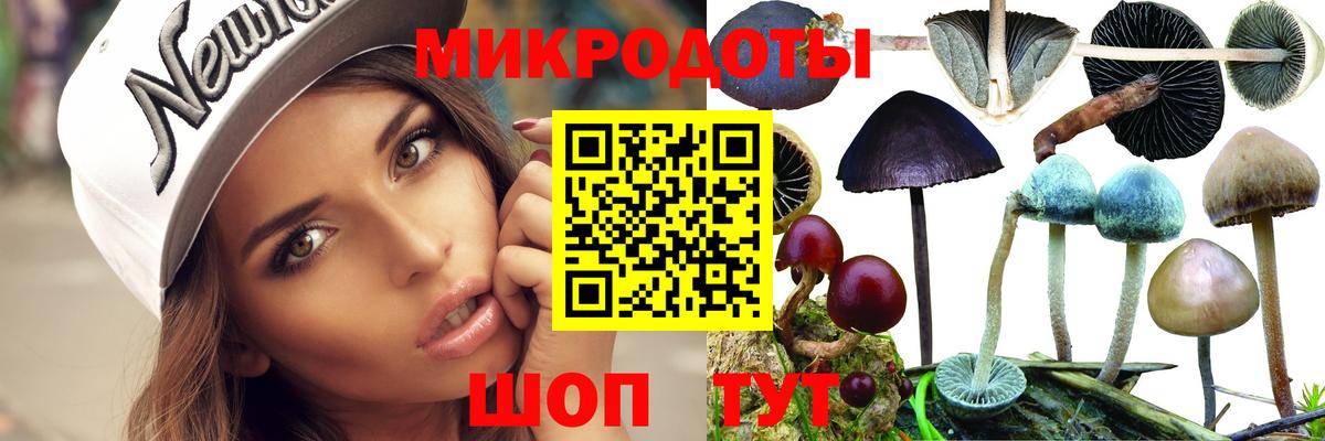 Галлюциногенные грибы Psilocybine cubensis  Псилоцибиновые грибы ЛСД  Сертолово  Вход с VPN 