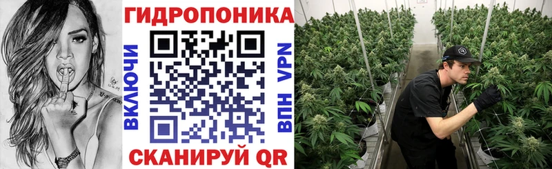 где купить наркоту  Сертолово  Бошки марихуана индика 